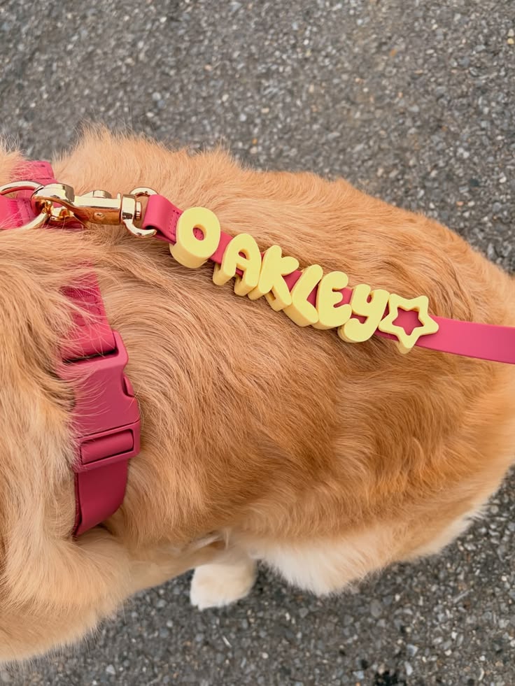 Pet Supplies